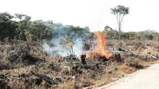 BURNINGS 3