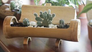 FLOWER SMAL CACTUS ON BAMBU VASE