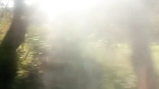 Paisagem 7