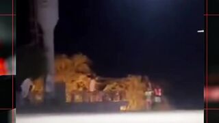 Amiga da onça