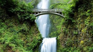 ✅Relaxamento Perfeito/ Cachoeira, Floresta e Música para Dormir