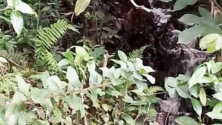 NATUREZA 2