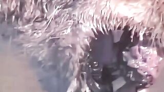 Mulher salva Enorme leoa da savana