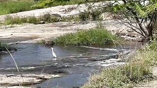 Lajedo Pernambuco Brasil