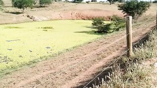 BRASIL 3