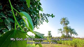 Quiet Prayer of Gratitude | Thank You, God