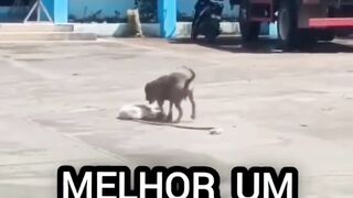 Sem legenda!