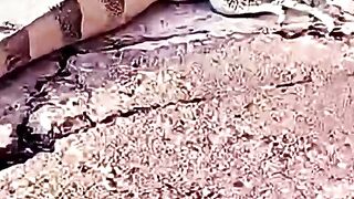 ObResgate do lagarto em Rondonópolis, Mato Grosso, Brasil
