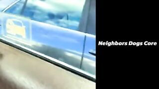 Experiences with the neighbors' pets / 이웃집 반려동물들과의 경험