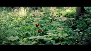 minuscule valley of the lost ants 2