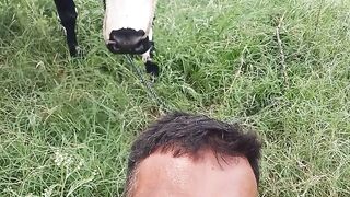 Khalidi Mehmood 😝