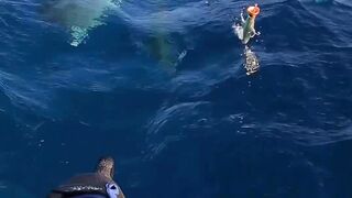 PEGOU PEIXE MUITO TOP NO MAR