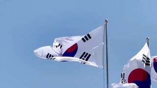 North Korean Flag