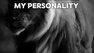 Don't Confuse My Personality With My Attitude | Powerful Life Motivation