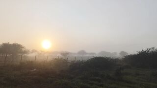 Neblina