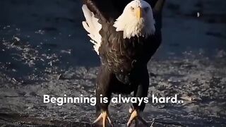 The Beginning Is Always Hard — Keep Going Until It Gets Easier | Powerful Motivation