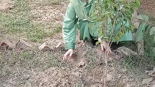 قراۃالعین صدیقی
