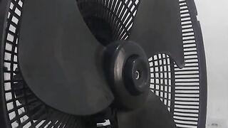 Fan cleaning 2