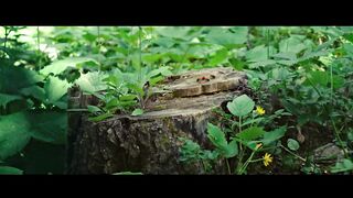 minuscule valley of the lost ants 3