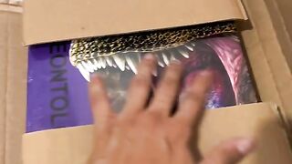 Dinossauros