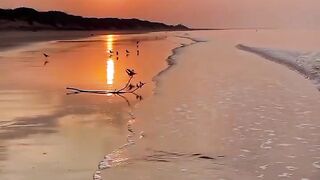 Golden Sunset by the Sea 🌅 | Relaxing Beach Waves & Aesthetic Ocean View