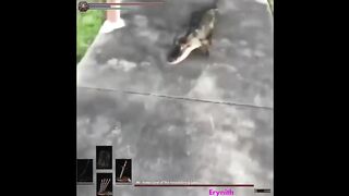 Hold on Mr. Gator
