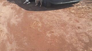 Felicidade é isso