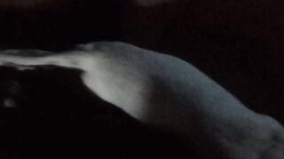 Feeding time 4