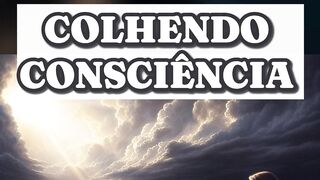 Colheita Divina