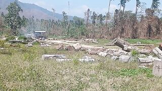 Hoskins West new britain