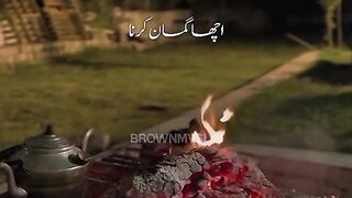 Janab Muhammad mustafa S.A kia farmaty hai...... follow me I will follow back inshallah