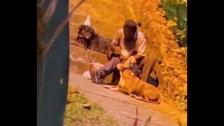 Homeless Man Celebrating Dog's Birthday - Pls