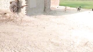 Funny video