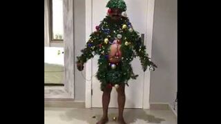decorated the Christmas tree