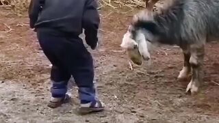 ????????????