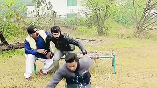 funny videos