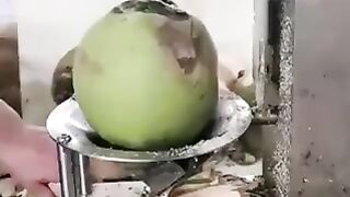 Fruit peeling