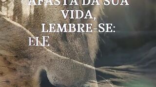 Motivaçaodiaria