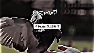 Janab Muhammad mustafa S.A ne kia farmaia....... follow My chanel I will inshallah
