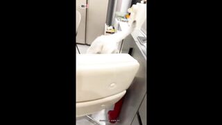 Cat funny video ! funny animal video