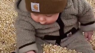 funny video short 8