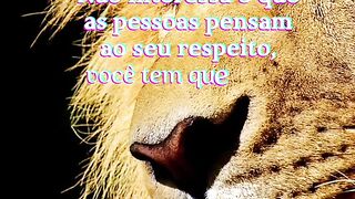 Motivaçaodiaria