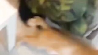 The Cat was so fast to touch him