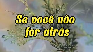 Motivaçaodiaria