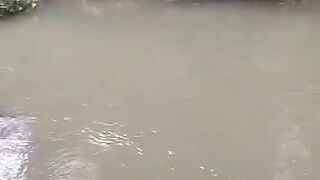 É curtir a natureza é coisa boa da nossa vida