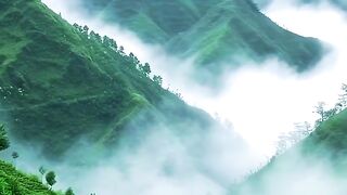 Very beautiful natural scenery 6