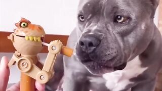 Animal viral