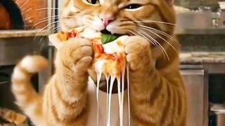 comendo pizza 🍕