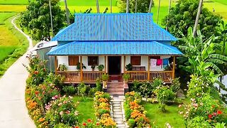গ্রামের সুন্দর পরিবেশ 4