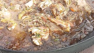 Pollo al disco...discos JP herrería